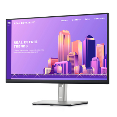 Écran Dell 24" Full HD (P2422H-3Y)