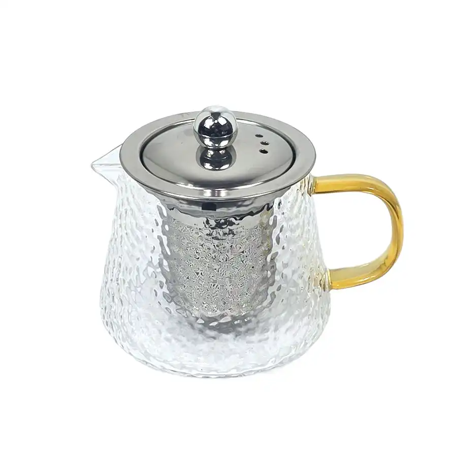 Pandiani Théière en verre - 480ml - Résistante au feu - Filtre en acier inoxydable