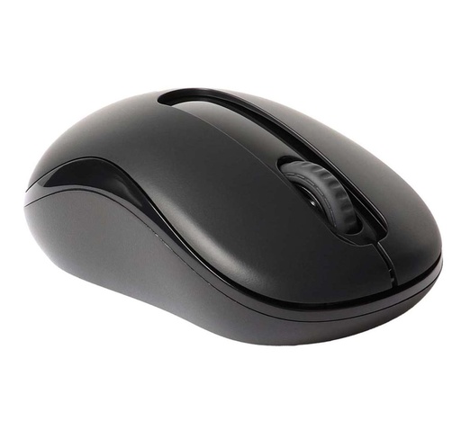[17298] Rapoo M10 Plus Souris optique sans fil